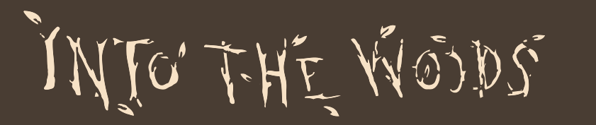 Into the Woods Banner